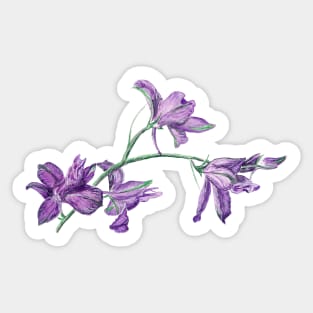 Delphinium Sticker